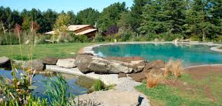 Biodesign pools progetta e produce piscine naturali. Natural Swimming Pool Biodesign Pools Outdoor In Ground Concrete