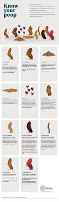 Poop Chart Helen Padarin