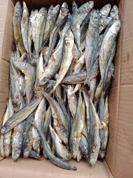 Cek harga terbaik sekarang hanya di biggo! Ikan Asin Murah 1kg Ikan Asin Layang Rebus Ikan Asin Pindang Benggol Lazada Indonesia
