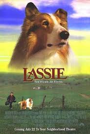 10 Great Dog Movies Everyone Needs To Watch Page 4 Of 4 Dog Movies Movie Posters Family Movies