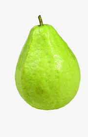Goiaba Goiaba Fresca Frutas Alimentos Png Image And Clipart Pintura De Frutas Frutas Goiaba