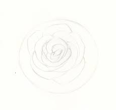 How To Draw Roses An Easy And Complete Step By Step Drawing Demo It will be a very simple but realistic drawing guide.