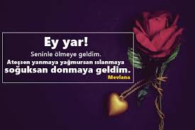 Sevgiliye uzun mesajlar sayfamızda, sevgiliye etkileyici sözler, sevgiliye güzel sözler gibi birçok konuda sözlere ulaşabilirsiniz. Sevgiliye Uzun Sozler Sevgiliye Uzun Mesajlar Pek Guzel Sozler