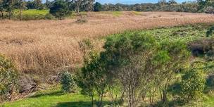 Catchment Conversation - Lower Angas and Bremer