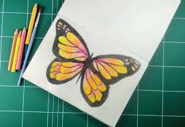 Tangan hebat 2.240 views3 months ago. How To Drawing Butterfly Using Watercolour Pencil Menggambar Kupu Kupu Menggunakan Pencil Warna Watercolour Anak Arsitektur