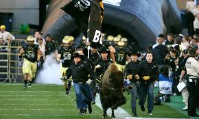 Image result for colorado football