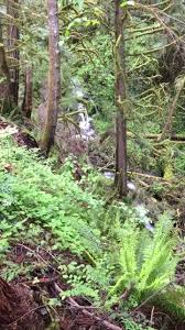 Mckenzie river trust is a nonprofit land trust serving western oregon. Mckenzie River Round House Home Facebook