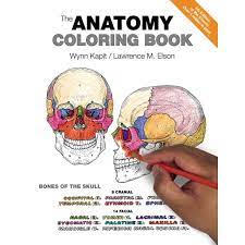 Download The Anatomy Coloring Book Paperback Walmart Com Walmart Com