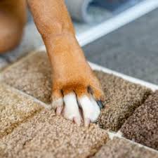 Top 10 Best Carpeting Near Perryville Mo Last Updated August 2020 Yelp