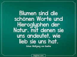 Johann Wolfgang Von Goethe Zitat Blumen Sind Die Sagdas