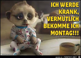 Montag Lustige Guten Morgen Spruche Witzige Spruche Lustige Spruche