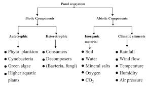 Major Eco Systems