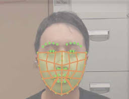 Learning Temporal Similarity of Remote Photoplethysmography for Fast 3D  Mask Face Presentation Attack Detection
