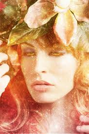 danielle debruno: 2011