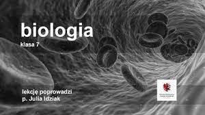 Biegną w nim drogi czucia głębokiego i temperatury. Klasa 7 Biologia Osrodkowy Uklad Nerwowy Szkola Youtube