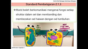Sel adalah unit yang paling asas kepada semua benda hidup. Sains Ting 1 Bab 2 1 3 Sel Sebagai Unit Asas Kehidupan Perbandingan Sel Haiwan Dan Tumbuhan Youtube
