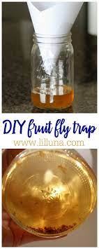 Diy Fruit Fly Trap Fruit Fly Trap Diy Fruit Fly Trap Fruit Flies