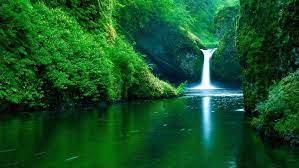 Waterfall Water Nature Landscape Green River Forest Hd Wallpaper Desktop Background Nature Desktop Wallpaper Desktop Background Nature Nature Desktop