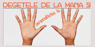 Fieeare dintre cele cinci apendice independente si articulate care formeaza extremitatea mainii. Degetele De La Mana Si Personalitatea Ta Pe Senorita Ro