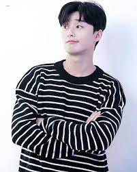 pin di k drama
