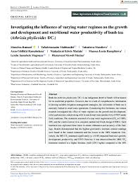 Image result for Athrixia phylicoides