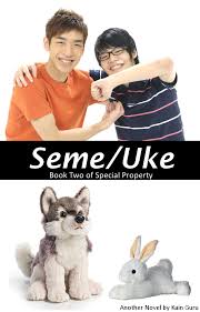Do you know everything about yaoi? Seme