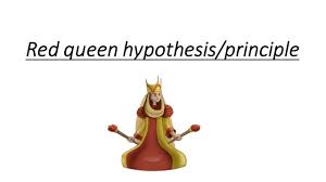 The Red Queen Hypothesis The Red Queen Effect In Evolution Youtube