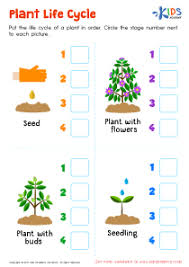 Plant life cycle stages worksheet. Plant Life Cycle Printable Free Worksheet Pdf For Kids