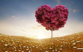 Hd Wallpaper Love Heart Tree Fields Pink Leaves Heart Shape Tree Wallpaper Flare Download, share or upload your own one! love heart tree fields pink leaves