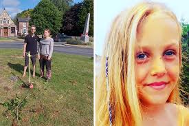 Poppleton family touched by support after vandals destroy tree