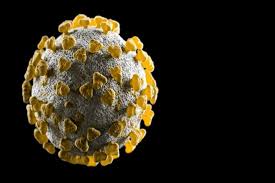 It is the same spike protein which enables the virus to enter and infect human cells. Explained What Is Delta Plus Covid Variant Is It Dangerous