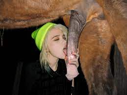 Girl gets horse cum facial - cum.news
