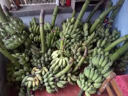 Pisang raja adalah buah yang paling digemari masyarakat indonesia. Jual Pisang Uter Awak Siem Raja Bandung Home Facebook