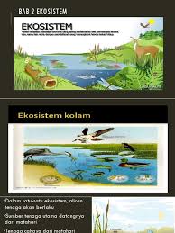 I, ii dan iv c. Bab 2 Ekosistem