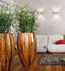 Diese bestehen aus leichten materialien wie zum beispiel blumenkübel fiberglas , metall und kunstharz. Pflanzgefass Banana Leaf Fleur Ami Im Greenbop Online Shop Kaufen