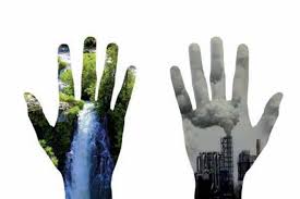 Avanza la contaminación del aire, agua y suelo y las sociedades difícilmente ven la relación. 26 De Enero Dia Mundial De La Educacion Ambiental Las Tres Sillas