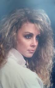 Contributions to the tribute of Terry Donovan