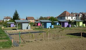 3 astuces pour un potager sans effort, ou presque. Jardins Familiaux Metz Fr