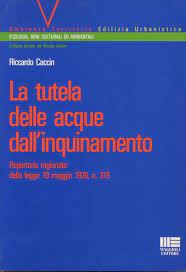 Prima del 1978, l'interruzione volontaria di gravidanza (ivg), in qualsiasi sua forma, era considerata dal codice penale italiano un reato. La Tutela Della Acque Dall Inquinamento Repertorio Ragionato Della Legge Merli 10 Maggio 1976 N 319 Riccardo Caccin Libro Usato Maggioli Editore Ibs