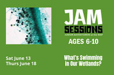 JAM Sessions: What’s Swimming in Our Wetlands?