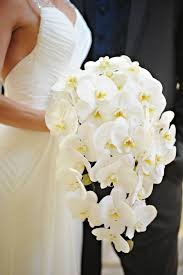 We did not find results for: 11 White Orchid Bouquet Ideas Orchid Bouquet White Orchid Bouquet Orchid Wedding