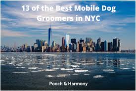 Our certified cat groomers are ready to make your life a little easier and get your kitten or cat looking perfect. 13 Of The Best Mobile Dog Groomers In Nyc Pooch Harmony