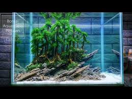Diy co2 or co2 bio based yeast is the most efficient way and easy way to get the co2 into the aquascape. 172 Keren Banged Bonsai Aquascape Tema Pinusan Subtitle English Youtube Aquascaping Bonsai Akuarium