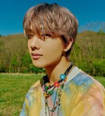 I think their k fandom is huge and the biggest among kpop groups. Nct Dream Members Profile Updated