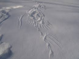 北海道地方環境事務所 - 環境省