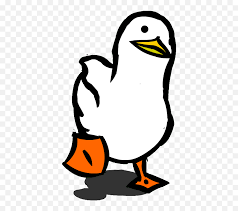 You can set animated profile or gifs (pfp) as your profile picture if you are a nitro user. Funny Gifs For Discord Profile Picture Duck Gif Png Discord Nitro Icon Free Transparent Png Images Pngaaa Com