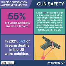 Image result for Gun Safety