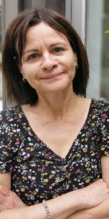 rapport d'activités