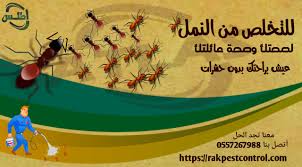 رقم شركة تنظيف الحشرات في الإمارات أطلس شركة مكافحة حشرات رأس الخيمه