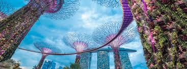The Best Summer Camps In Singapore World Camps